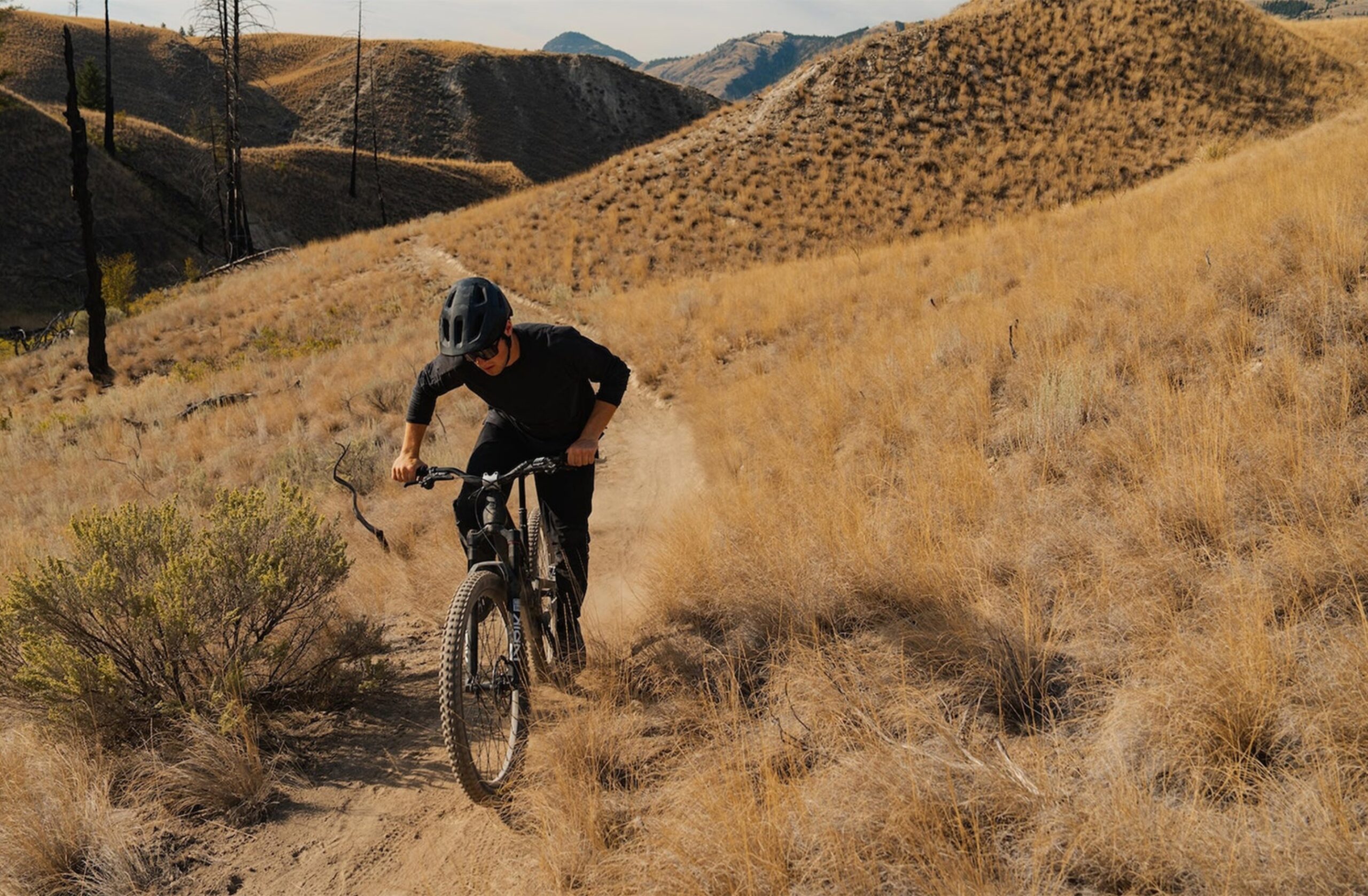 Stars & Chrome E-Bikes | EVIL Bikes | Offering