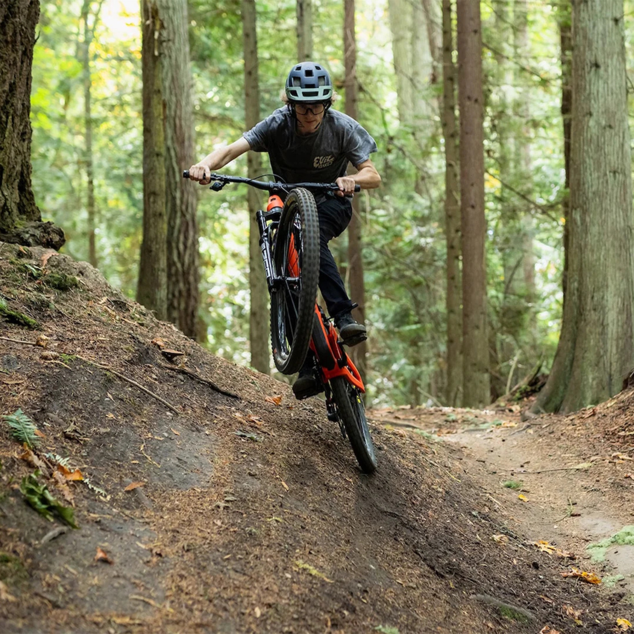 Stars & Chrome E-Bikes | EVIL Bikes | Offering